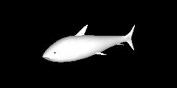 Shark.jpg (2584 bytes)